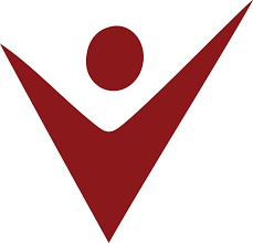 Vision Degree College Logo